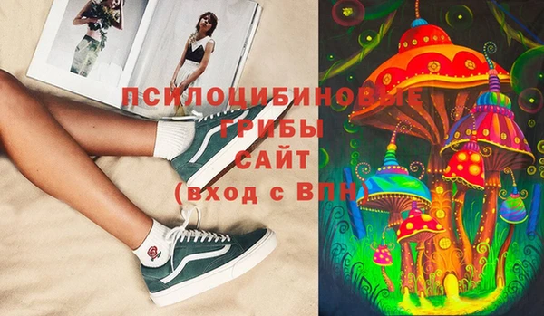кокс Нея