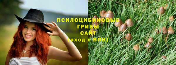а пвп мука Надым