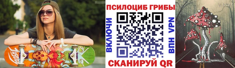 Псилоцибиновые грибы MAGIC MUSHROOMS  гидра зеркало  Правдинск  сколько стоит 