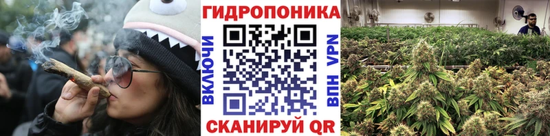 сайты даркнета телеграм  Правдинск  Бошки марихуана марихуана 